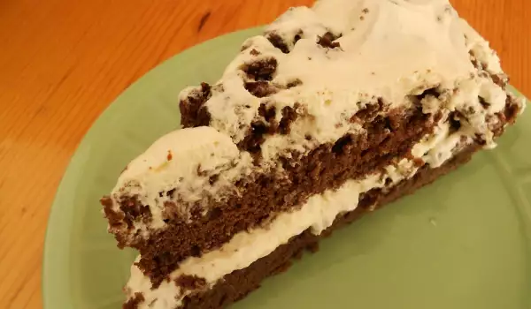 Yummy Chocolate Cake with Cream