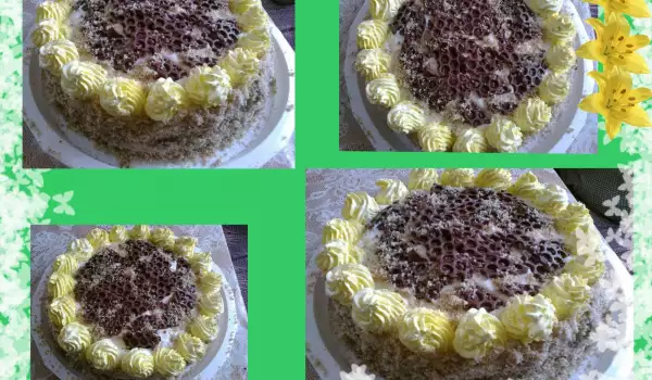 Cake with Tiramisu Cream