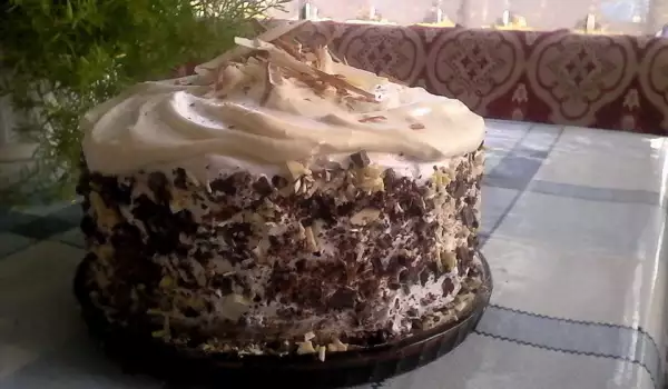 Cake with Vanilla Pudding and Chocolate