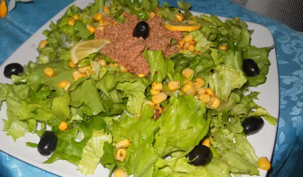 Green Salad with Tuna and Olives