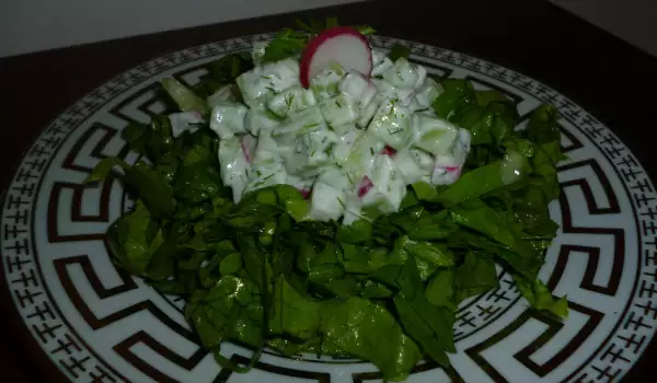 Spring Salad with Yoghurt